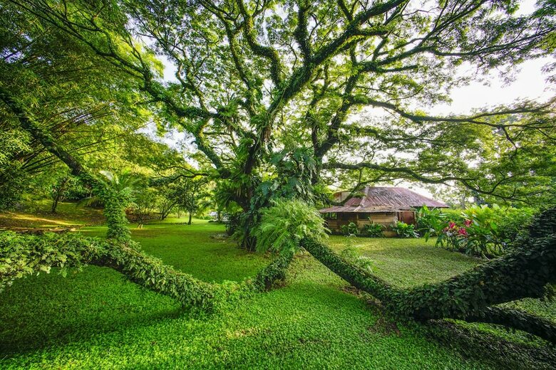 Villa Ecovital Costa Rica