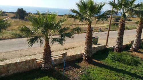 Akamas Villas - Villa Queen Evridiki