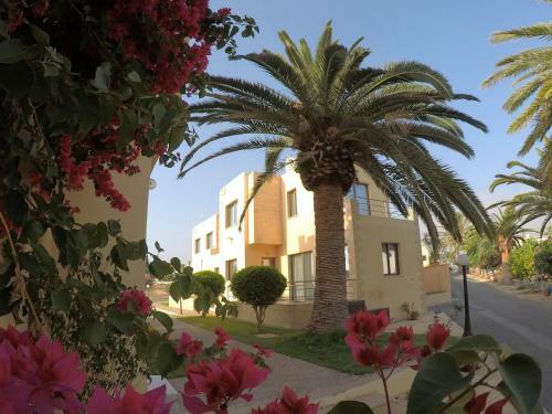 Apartamento Dimma Seaside Houses