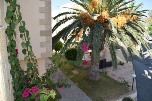 Apartamento Dimma Seaside Houses