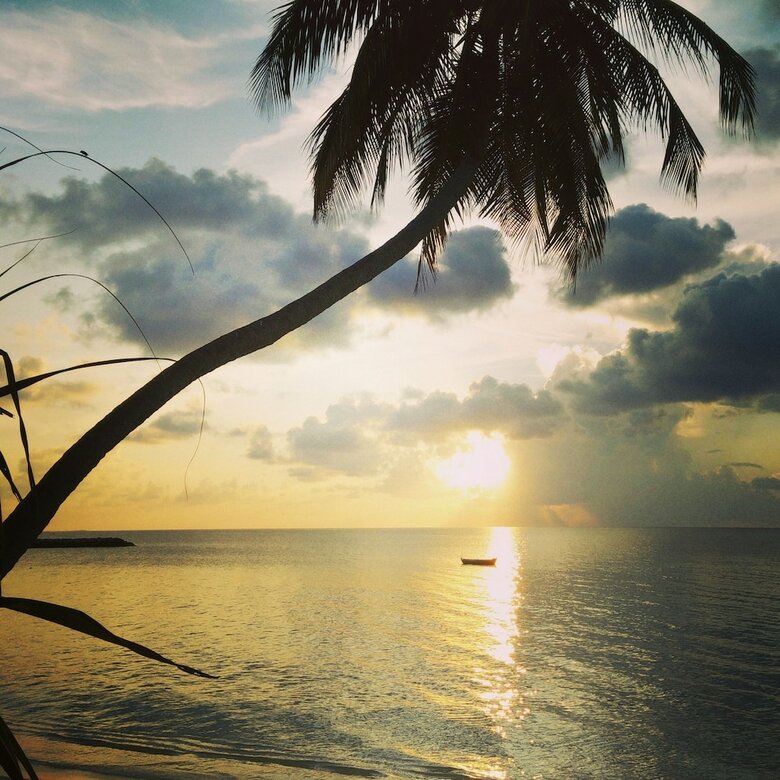 Hotel Evexia Beach Collection - A Premium Wellness Retreat