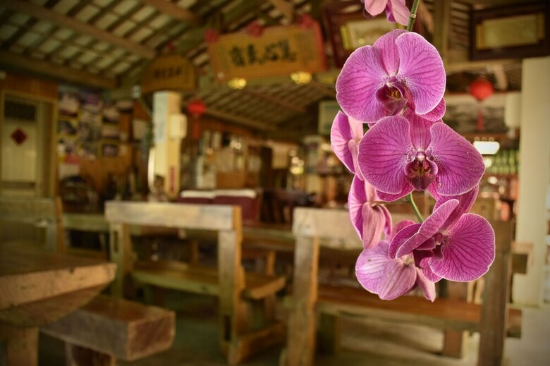 Hotel Alishan B&B Yunmingi Aliscenery
