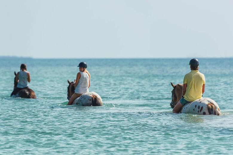 Hotel Sea Cliff Resort & Spa