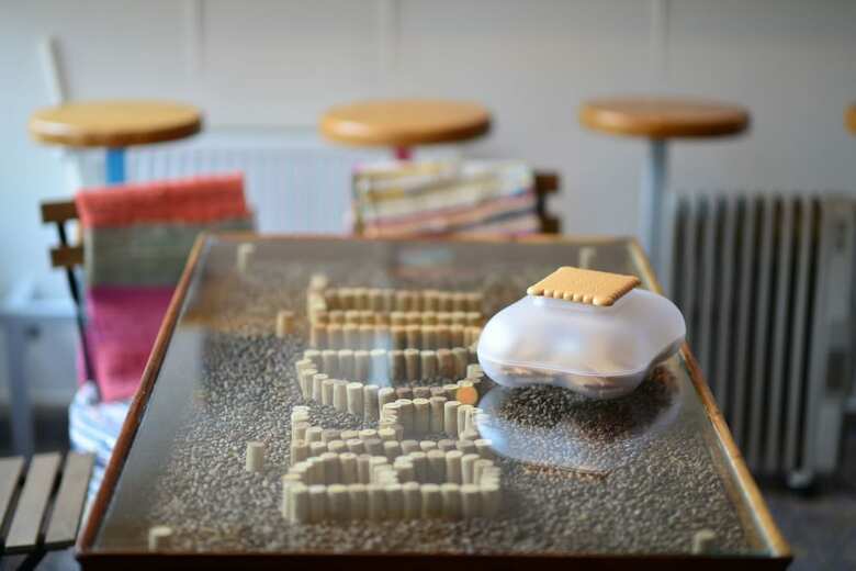 Hotel Biscuit