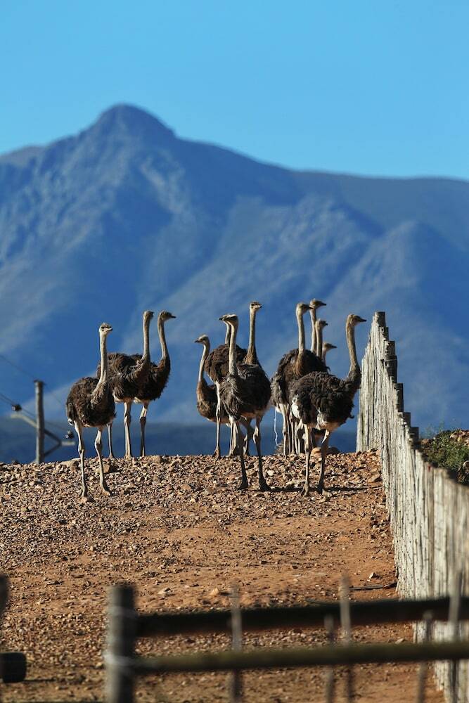 Agroturismo Berluda Farmhouse & Cottages