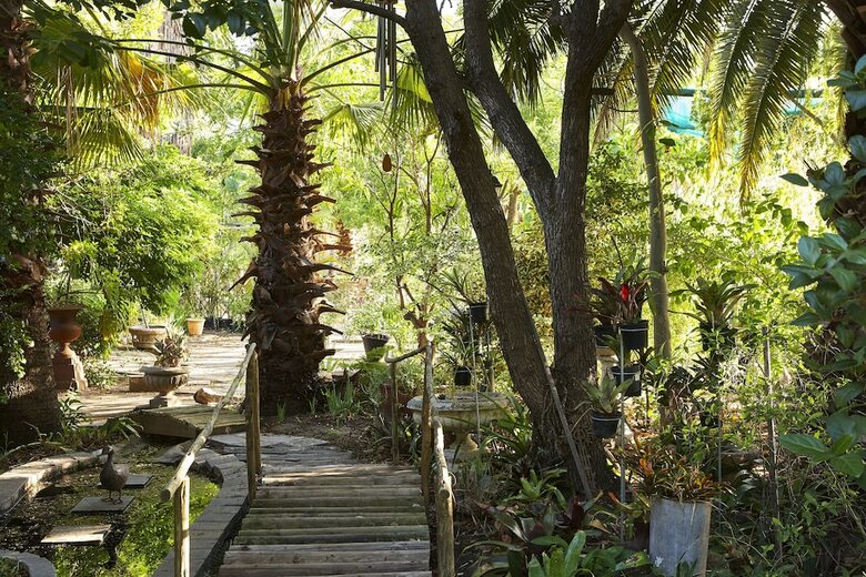 Hotel Yellow Aloe Guesthouse