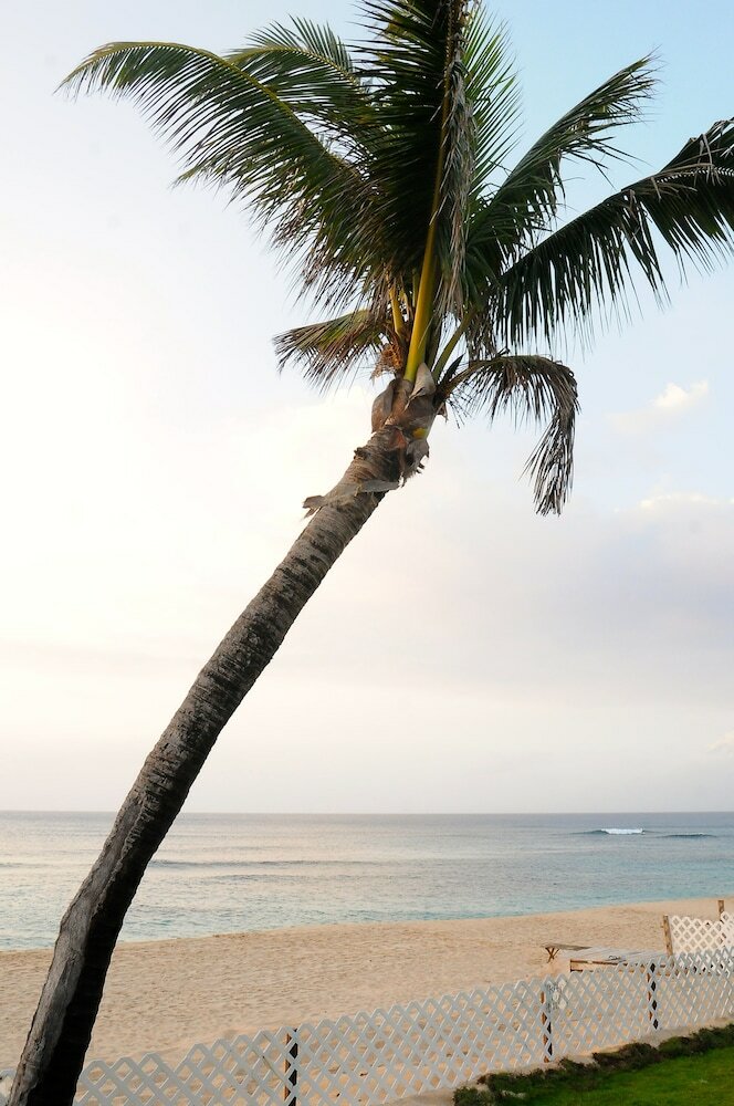 Apartamentos Rocky Point Beachfront/paradise