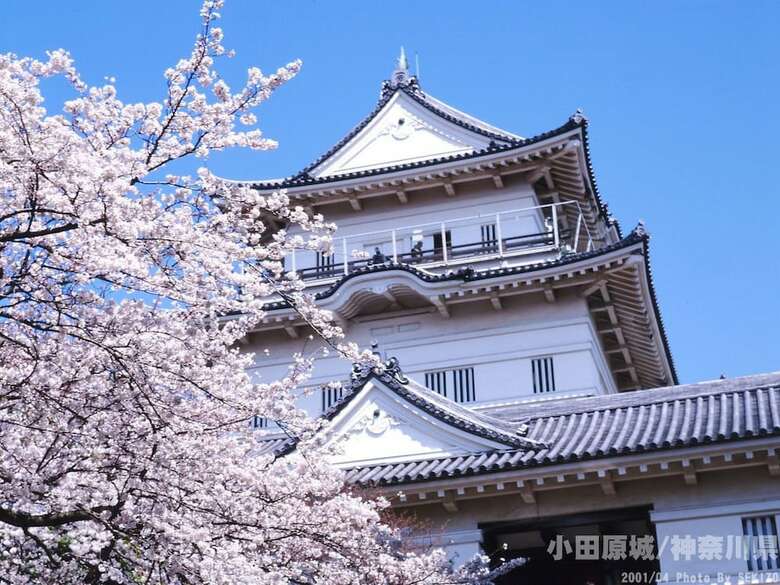 Hotel Harvest Hakone Koushien