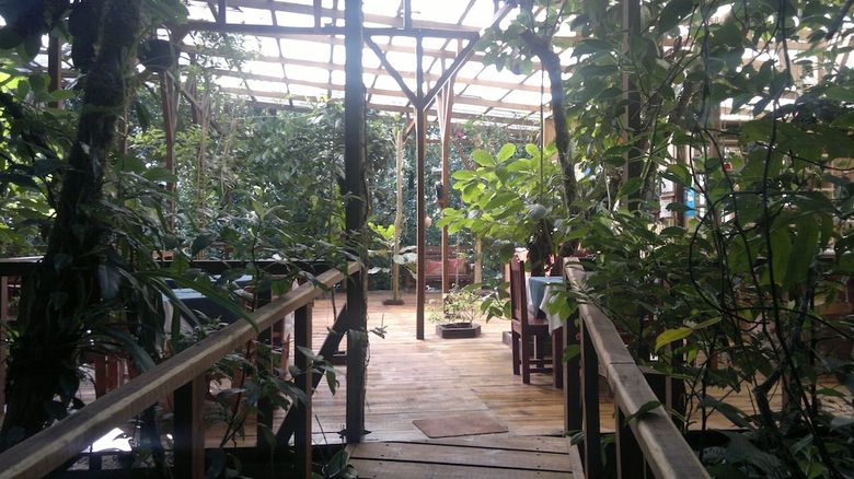 Posada Wagelia Espino Blanco Lodge