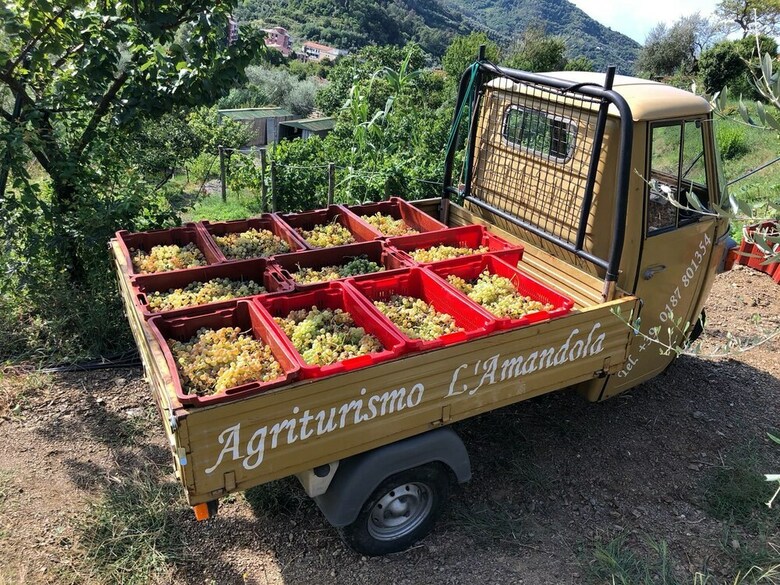 Agroturismo L'amandola Villa - Agriturismo