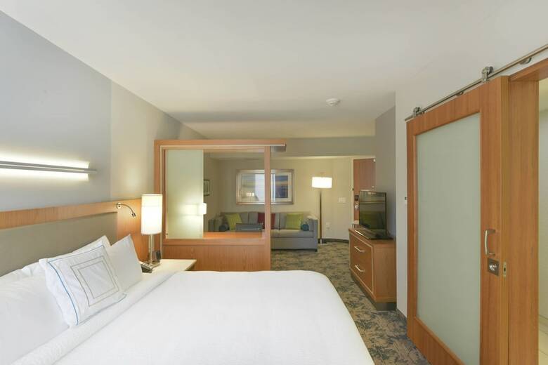 Hotel Springhill Suites By Marriott Wilmington Mayfaire