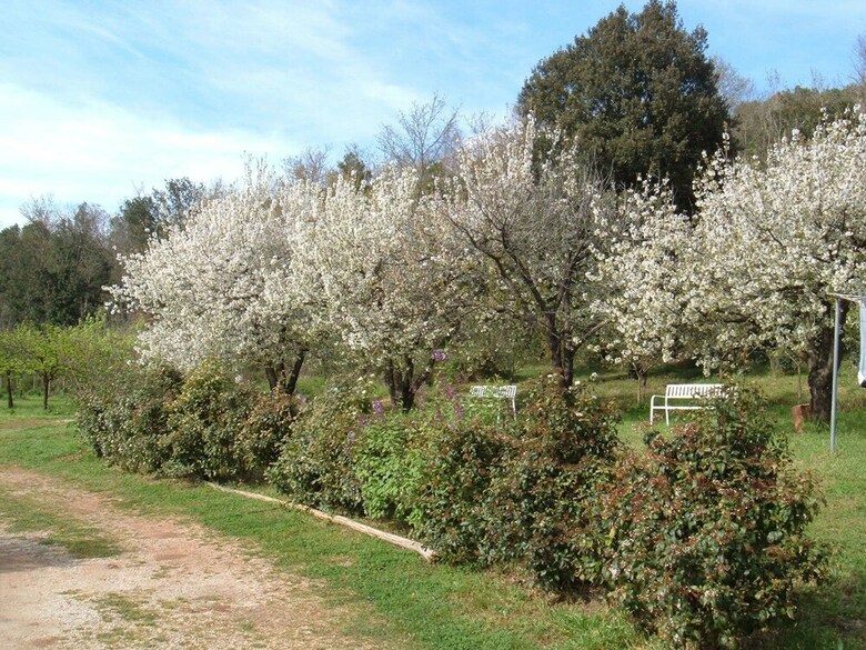 Agroturismo Borgognano Farm House