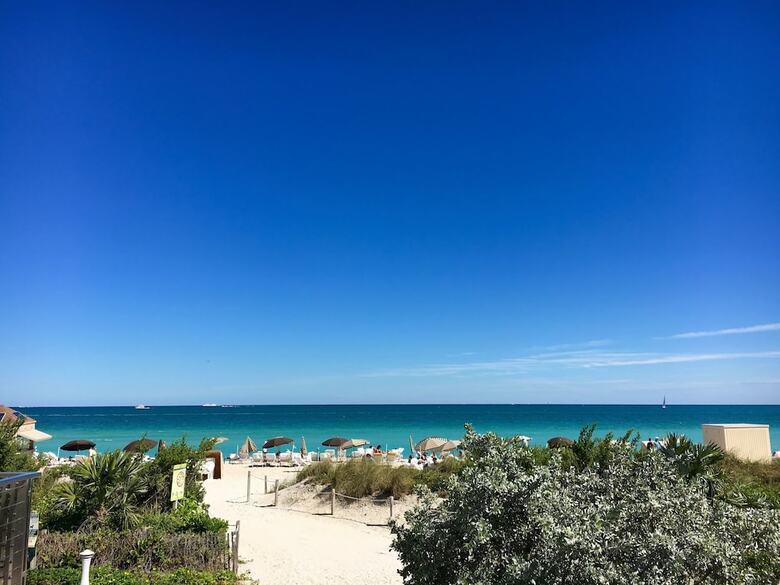 Hotel Carillon Miami Wellness Resort