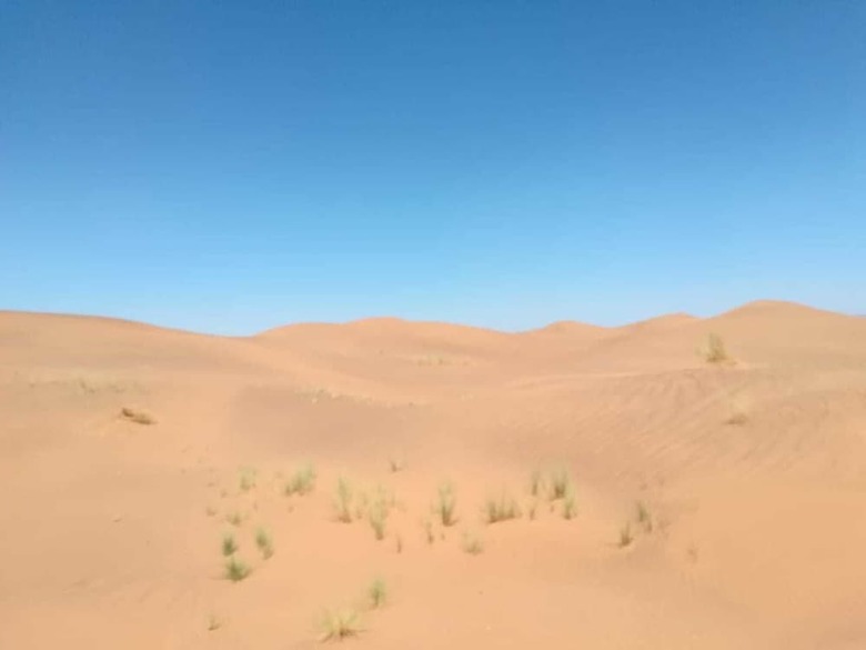 Bivouac Les Dunes de Tinfou