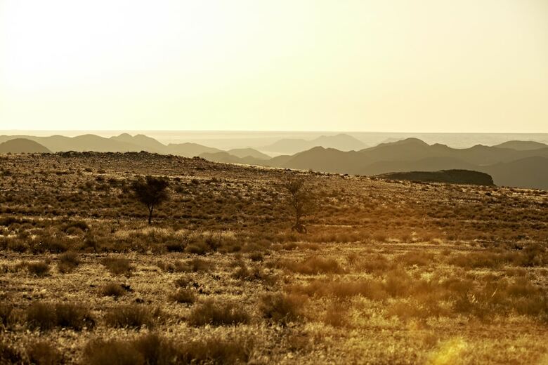 Posada Sandfontein Lodge & Nature Reserve - All-inclusive