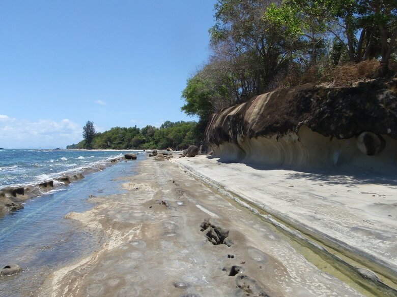Hotel North Borneo Biostation Resort