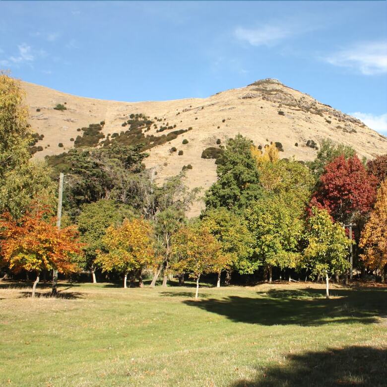 Bed & Breakfast Kaituna Valley Homestead