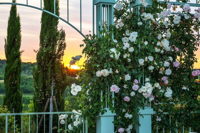 Agroturismo Relais Sassa Al Sole