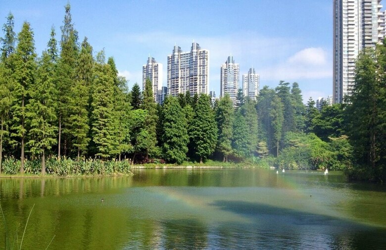 Apartamentos Royal Garden