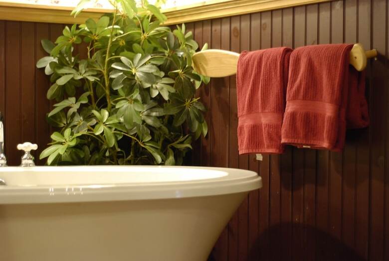 Bed & Breakfast Wrens Nest Village Inn