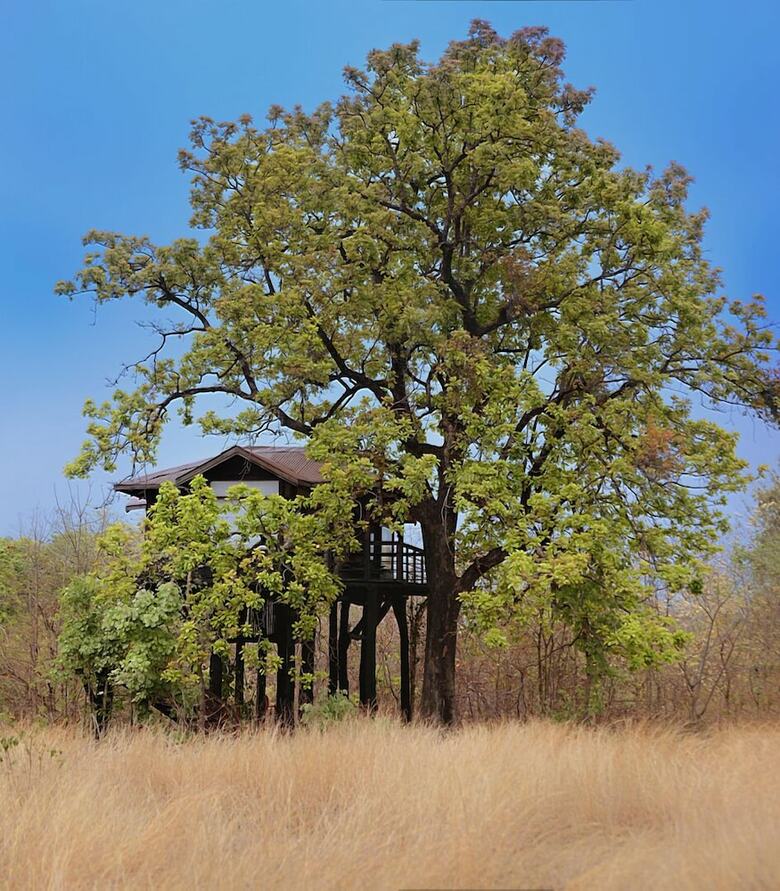Posada Pugdundee Safaris - Pench Tree Lodge