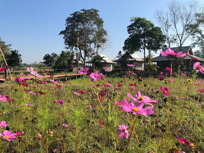 Hotel Ban Suan Tawan Chiang Dao