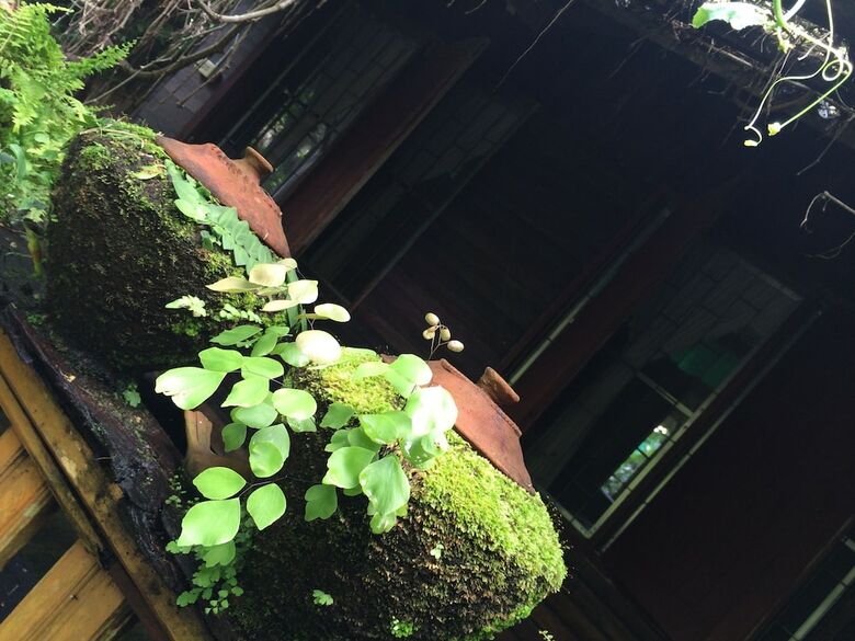 Hotel Konkubdin Homestay