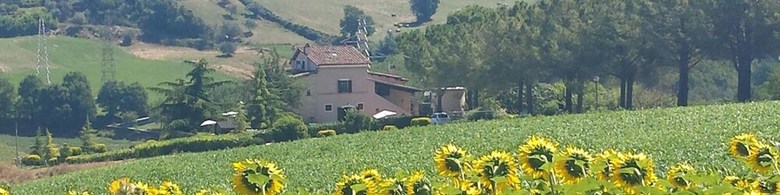 Agroturismo Agriturismo La Contea By Bice