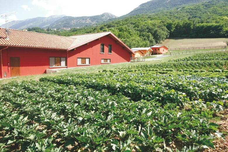 Agroturismo Fattoria Antica Forconia