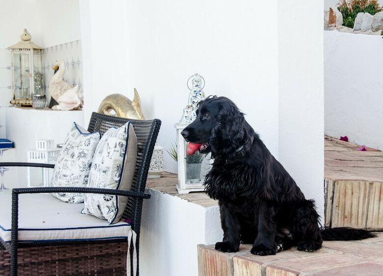 Bed & Breakfast Winniehill