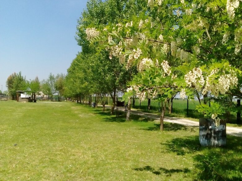 Agroturismo L'antico Casale Dei Sogni