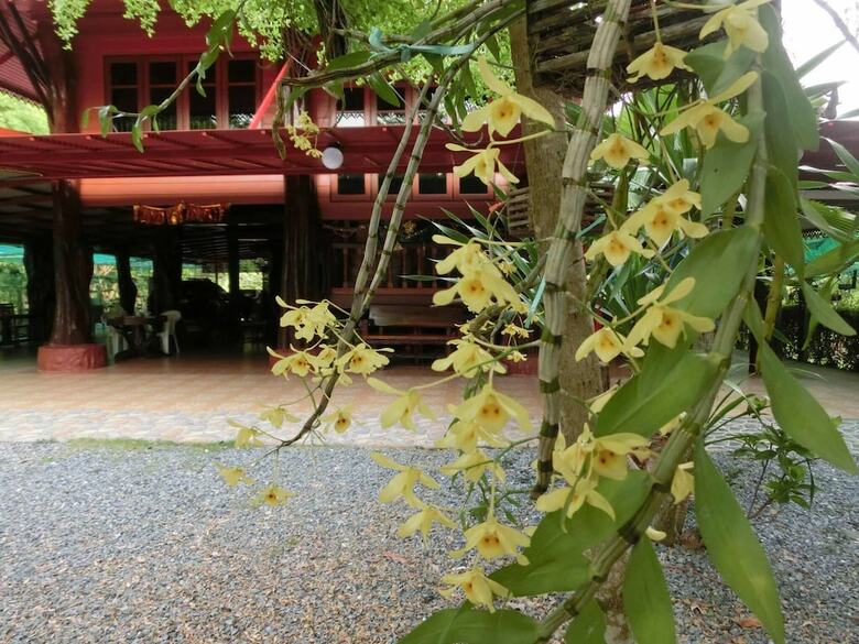 Hotel Big House Resort