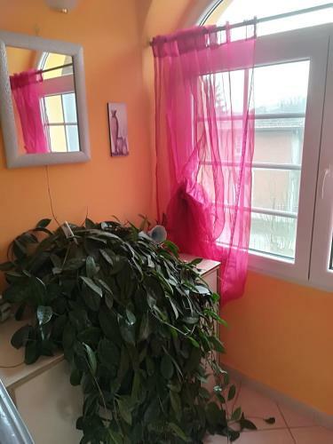 Bed & Breakfast Casa Fiorita