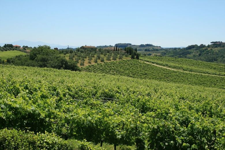 Agroturismo Tenuta Di Monaciano