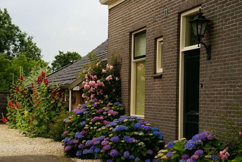 Bed & Breakfast de Heerlijkheid Ruinerwold