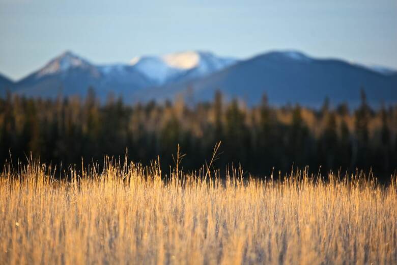 Meadow Lake Guest Ranch