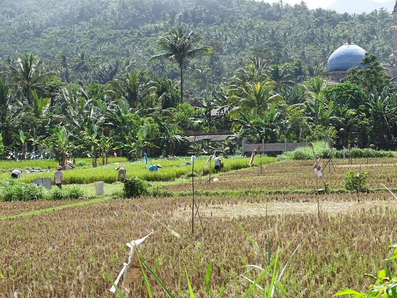 Bed & Breakfast Bale Solah