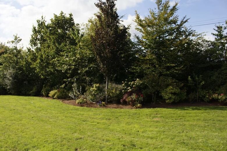 Bed & Breakfast Roe Valley Manor And Estate