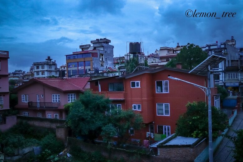 Lemon Tree Apartment And Homestay