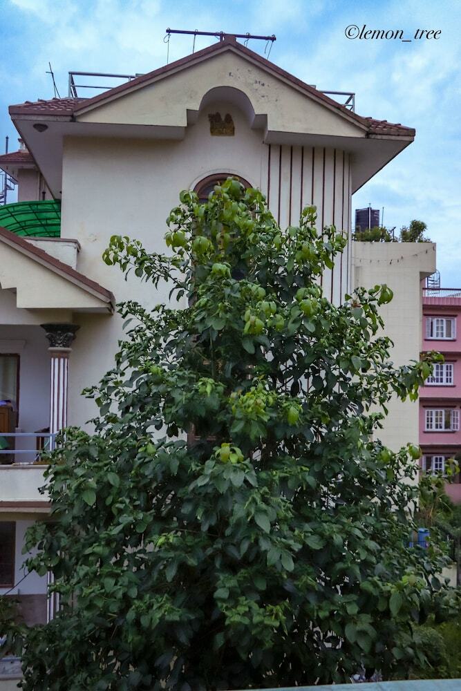 Lemon Tree Apartment And Homestay