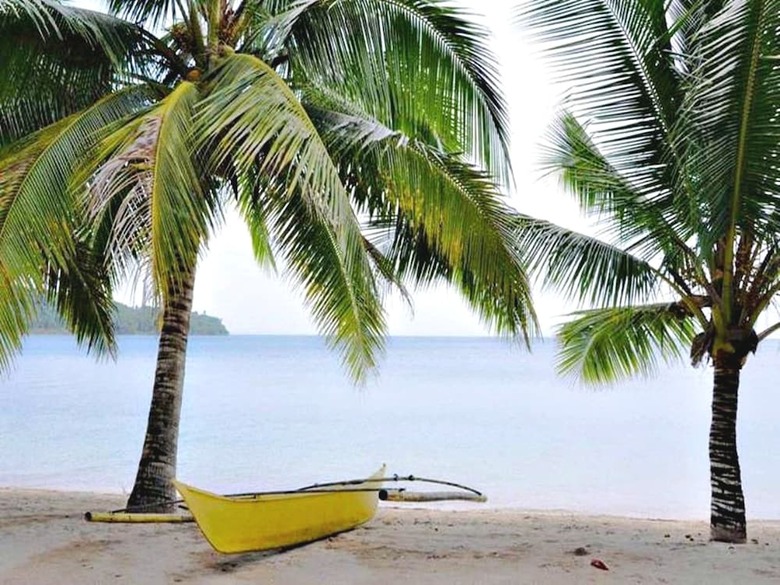 Hotel Ticao Island Resort
