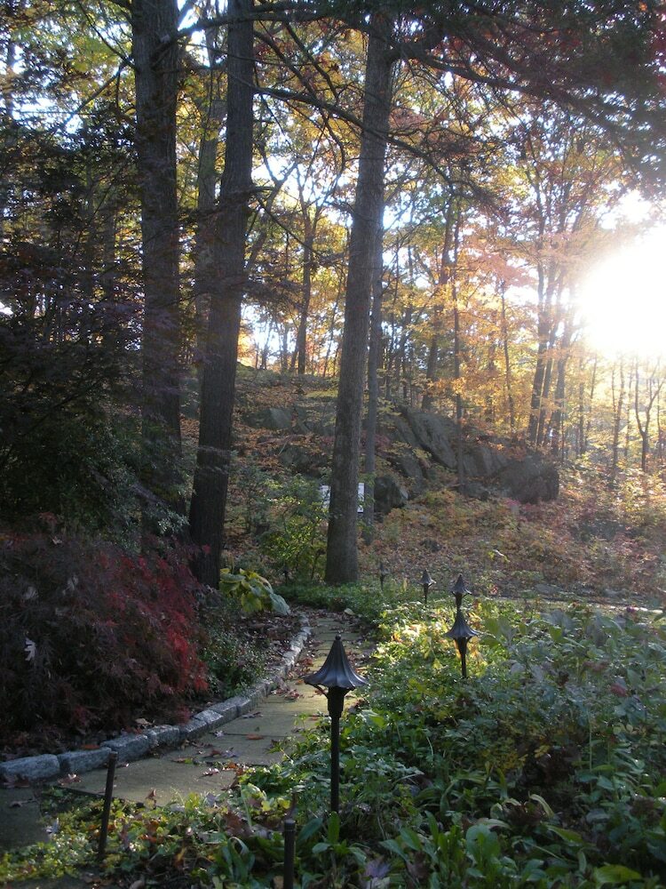 Inn The Woods Bed And Breakfast