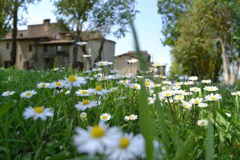 Agroturismo Agriturismo Nestore