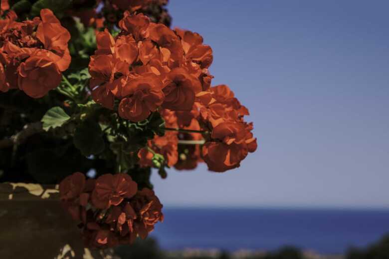 Agroturismo Tenuta Santa Tecla