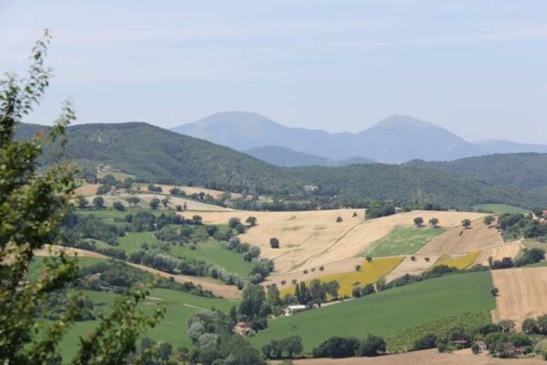 Agroturismo Il Castello Country House