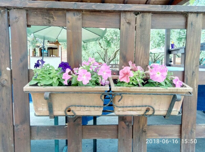 Bed & Breakfast Casadolcecasalatina