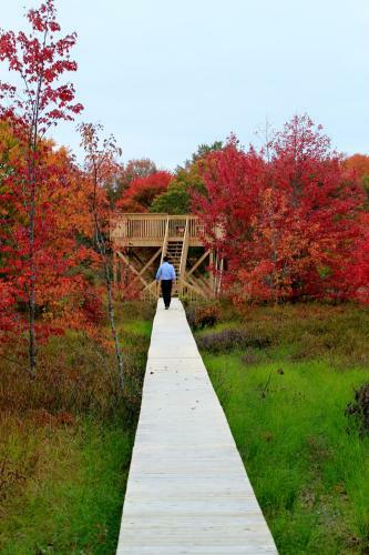 Hotel Trout Point Lodge Of Nova Scotia