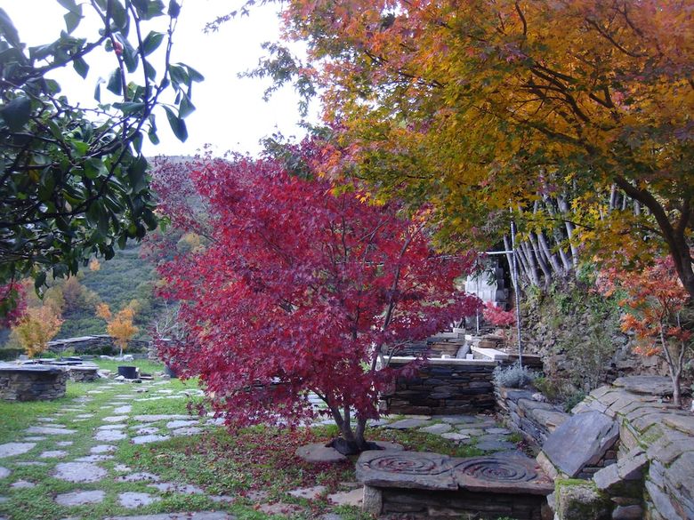 Agroturismo Casa O Crego