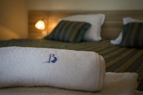 Hotel Briz