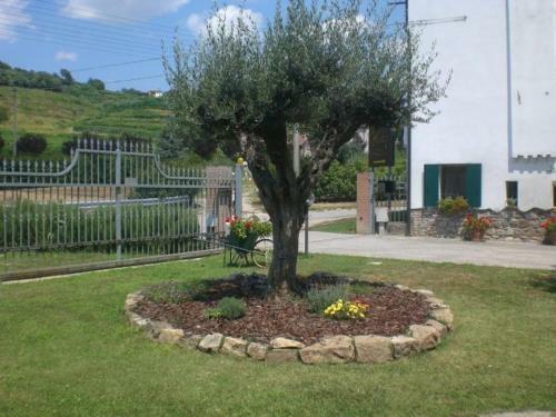 Agroturismo Il Feudo